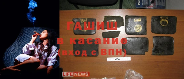 гидра Корсаков